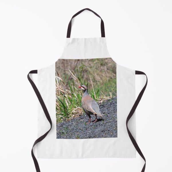 Item preview, Chukar Stroll designed and sold by DawsonImages.