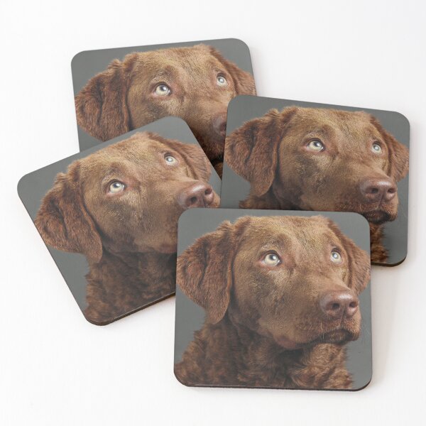 Item preview, Chesapeake Retriever Portrait designed and sold by Elisabeth Lucas.