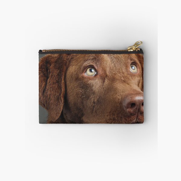Item preview, Chesapeake Retriever Portrait designed and sold by Elisabeth Lucas.