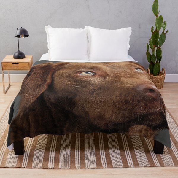 Item preview, Chesapeake Retriever Portrait designed and sold by Elisabeth Lucas.