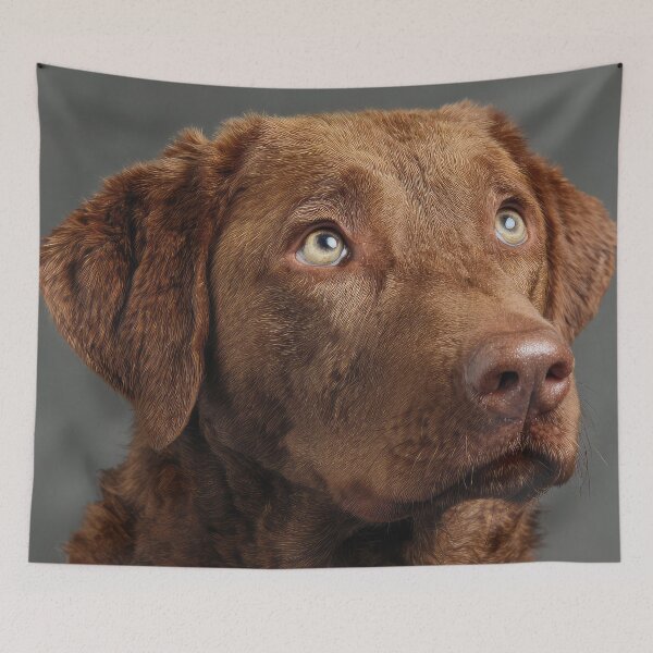 Item preview, Chesapeake Retriever Portrait designed and sold by Elisabeth Lucas.