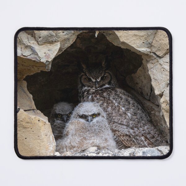 Item preview, Neighborhood Watch designed and sold by DawsonImages.