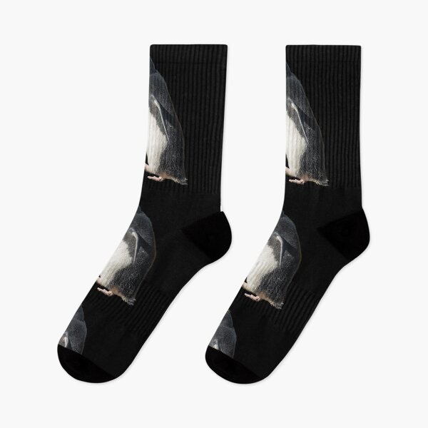 Item preview, Royal Penguin on black designed and sold by GivernyKate.