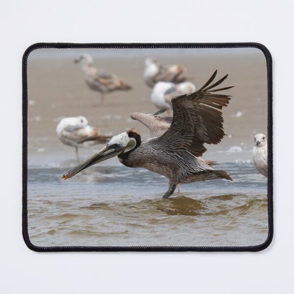 Item preview, Neck in Tilt left designed and sold by DawsonImages.