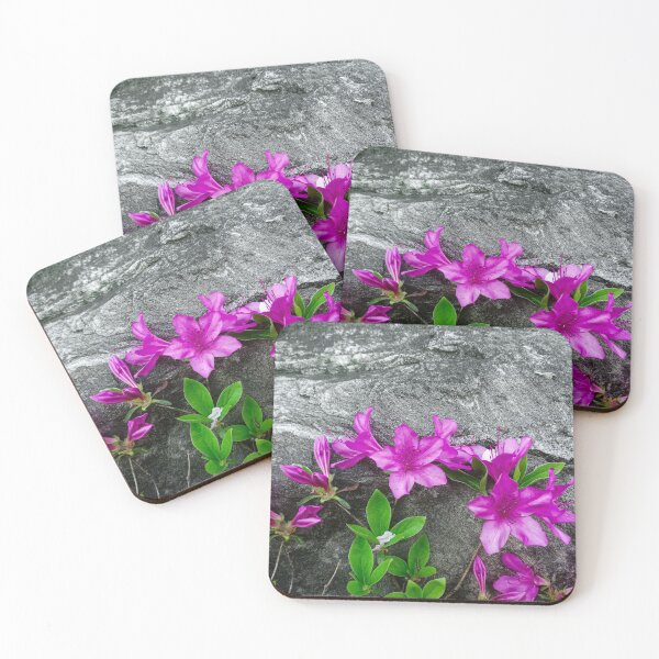 Item preview, Purple Flowers Growing Against a Rock II designed and sold by Domenica-Rosa.