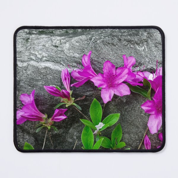 Item preview, Purple Flowers Growing Against a Rock II designed and sold by Domenica-Rosa.