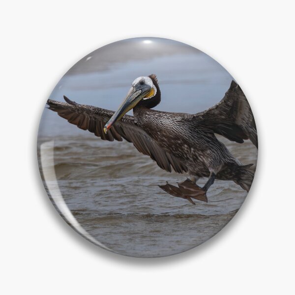 Item preview, Prepare for a Water Landing designed and sold by DawsonImages.