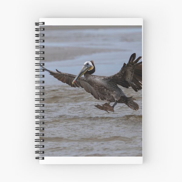 Item preview, Prepare for a Water Landing designed and sold by DawsonImages.