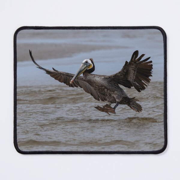 Item preview, Prepare for a Water Landing designed and sold by DawsonImages.