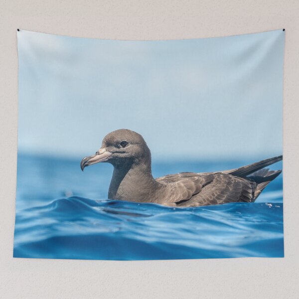 Item preview, Shearwater designed and sold by GivernyKate.