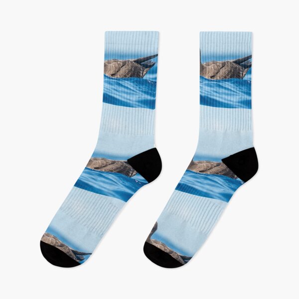 Item preview, Shearwater designed and sold by GivernyKate.