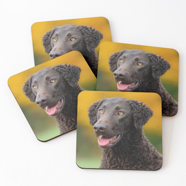 Item preview, Curly Coated Retriever Portrait designed and sold by Elisabeth Lucas.
