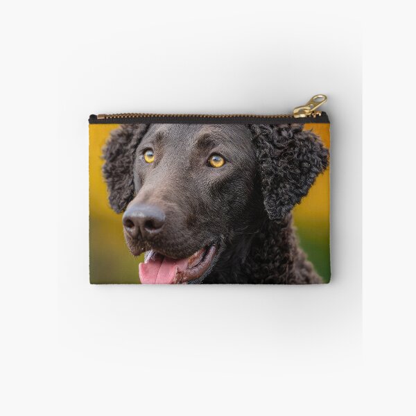 Item preview, Curly Coated Retriever Portrait designed and sold by Elisabeth Lucas.