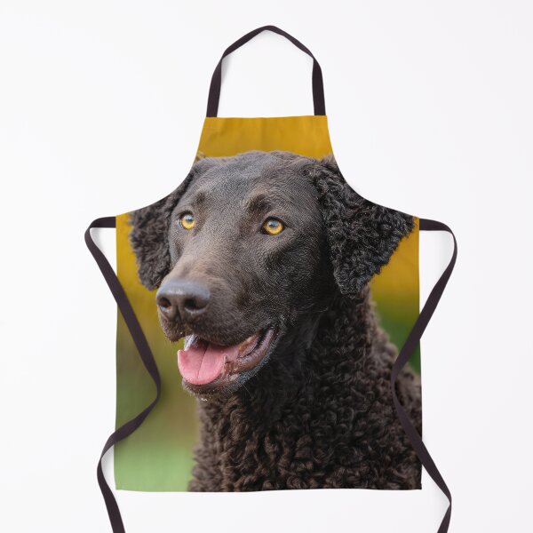 Item preview, Curly Coated Retriever Portrait designed and sold by Elisabeth Lucas.