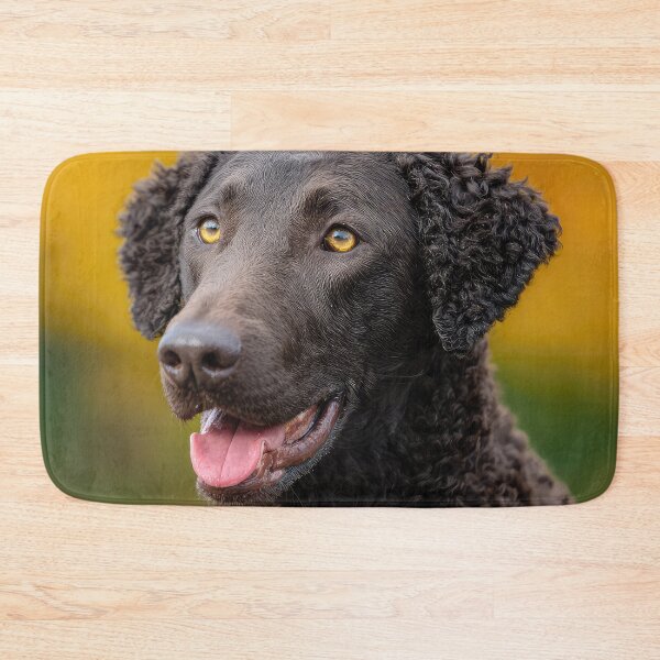 Item preview, Curly Coated Retriever Portrait designed and sold by Elisabeth Lucas.