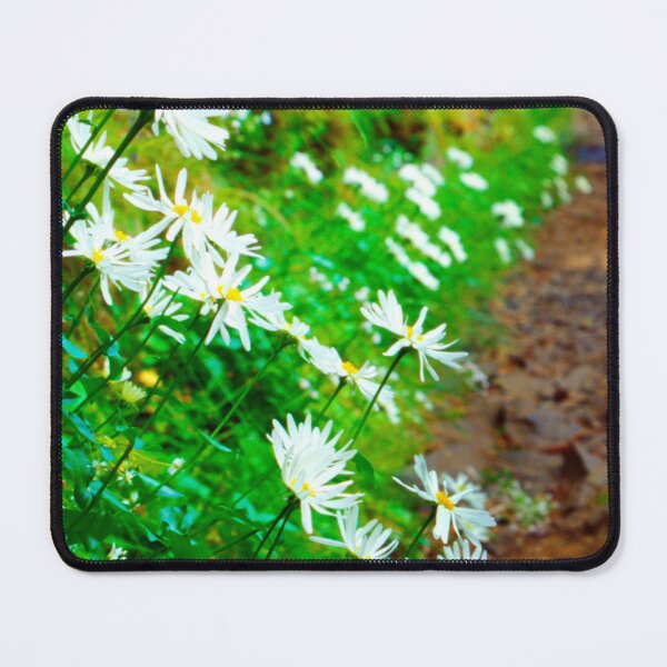 Item preview, Daisies Along a Dirt Path designed and sold by jklune.
