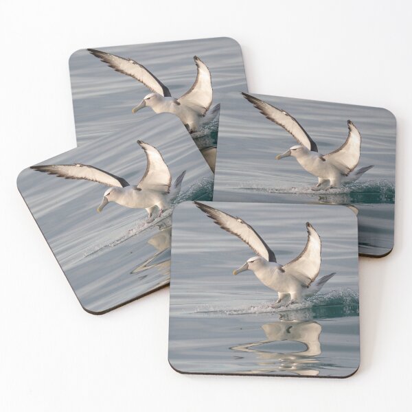 Item preview, White-capped Albatross Reflection designed and sold by GivernyKate.