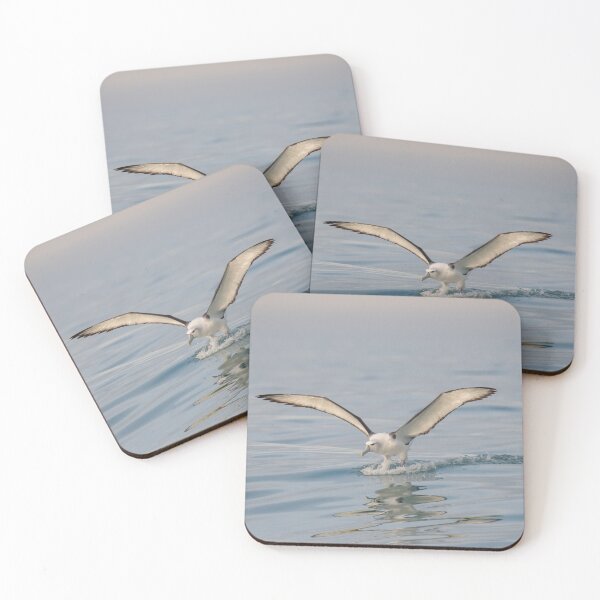 Item preview, White-capped Albatross Reflection designed and sold by GivernyKate.