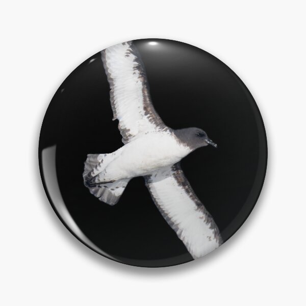 Item preview, Cape Petrel on black designed and sold by GivernyKate.