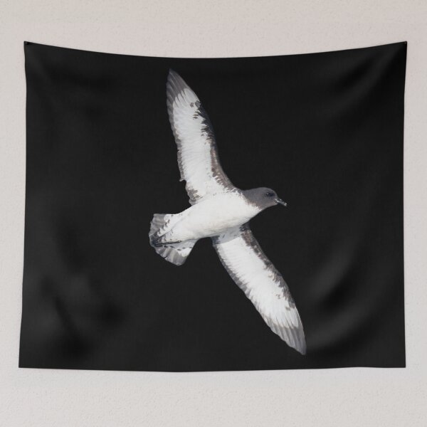 Item preview, Cape Petrel on black designed and sold by GivernyKate.