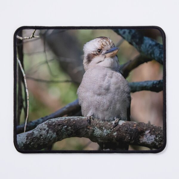 Item preview, Kookaburra designed and sold by FallenTrickster.