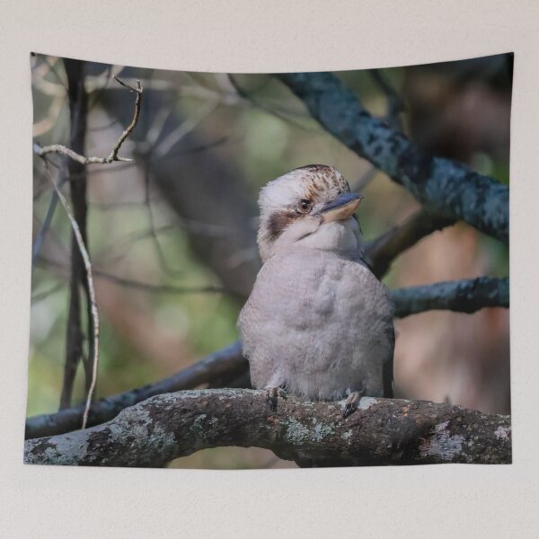 Item preview, Kookaburra designed and sold by FallenTrickster.