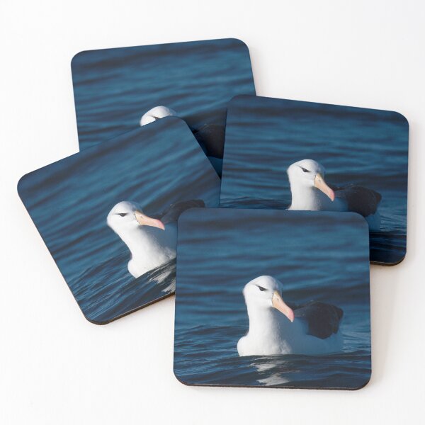 Item preview, Black-browed Albatross Reflection designed and sold by GivernyKate.