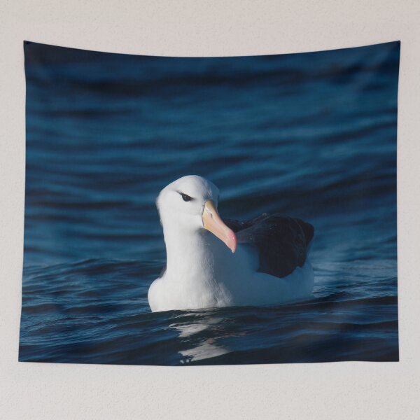 Item preview, Black-browed Albatross Reflection designed and sold by GivernyKate.