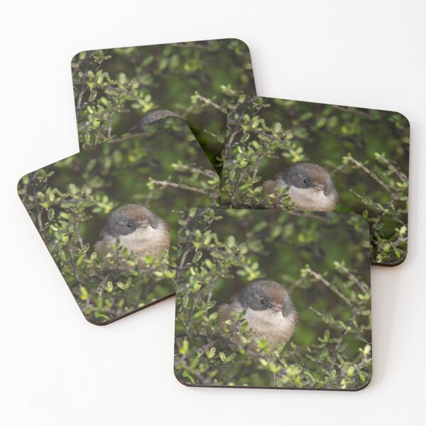 Item preview, Pīpipi (brown creeper) designed and sold by GivernyKate.