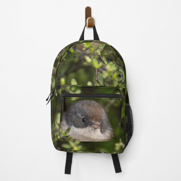 Item preview, Pīpipi (brown creeper) designed and sold by GivernyKate.
