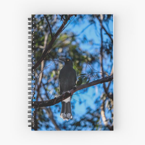 Item preview, Currawong designed and sold by FallenTrickster.