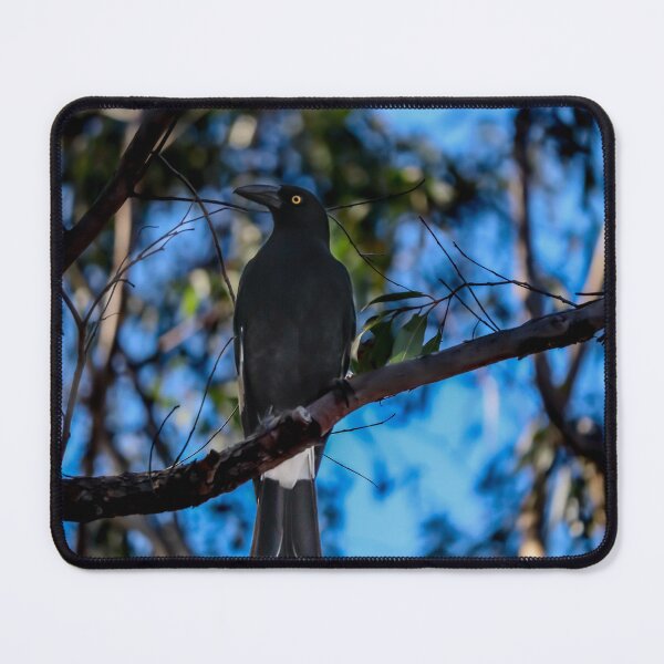 Item preview, Currawong designed and sold by FallenTrickster.