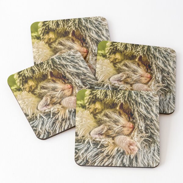 Item preview, Sleeping Kitten Cozy Nap Photo designed and sold by aadventures.