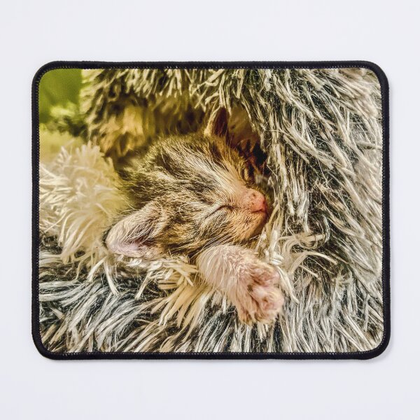 Item preview, Sleeping Kitten Cozy Nap Photo designed and sold by aadventures.