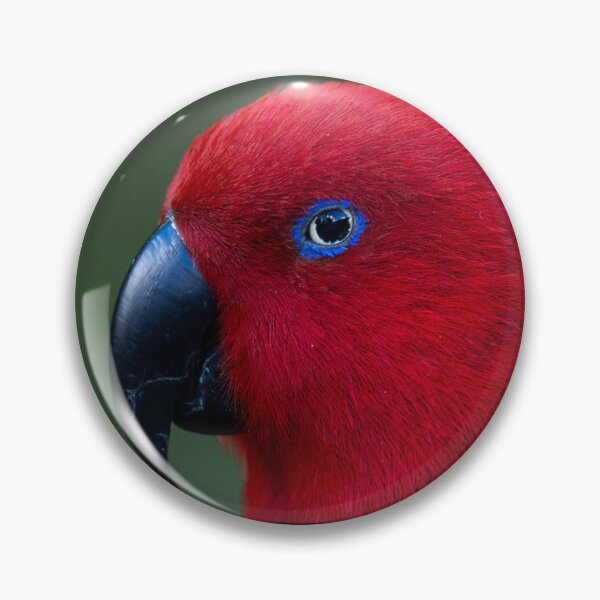 Item preview, Eclectus Parrot designed and sold by GivernyKate.