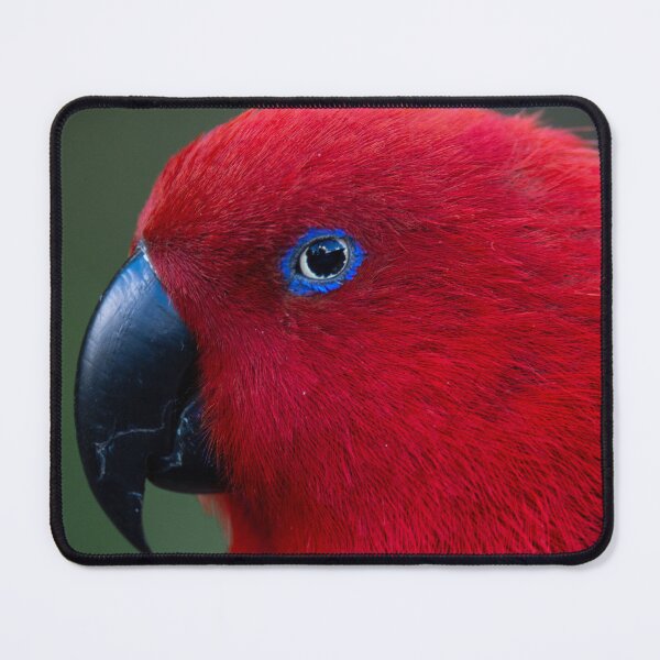 Item preview, Eclectus Parrot designed and sold by GivernyKate.