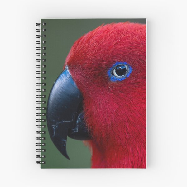 Item preview, Eclectus Parrot designed and sold by GivernyKate.