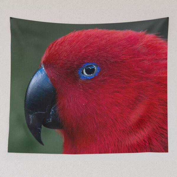 Item preview, Eclectus Parrot designed and sold by GivernyKate.