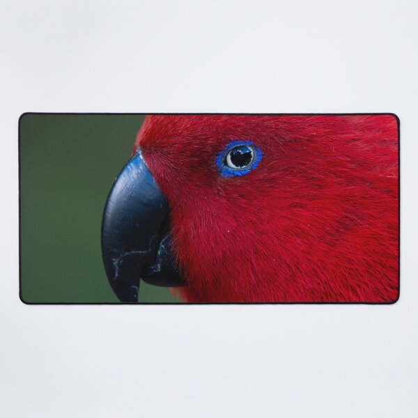 Item preview, Eclectus Parrot designed and sold by GivernyKate.