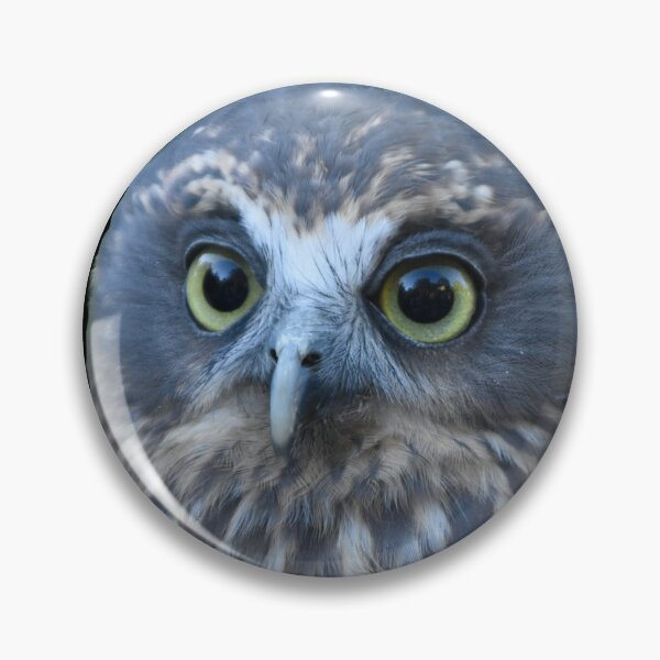 Item preview, Ruru (morepork owl) on black designed and sold by GivernyKate.