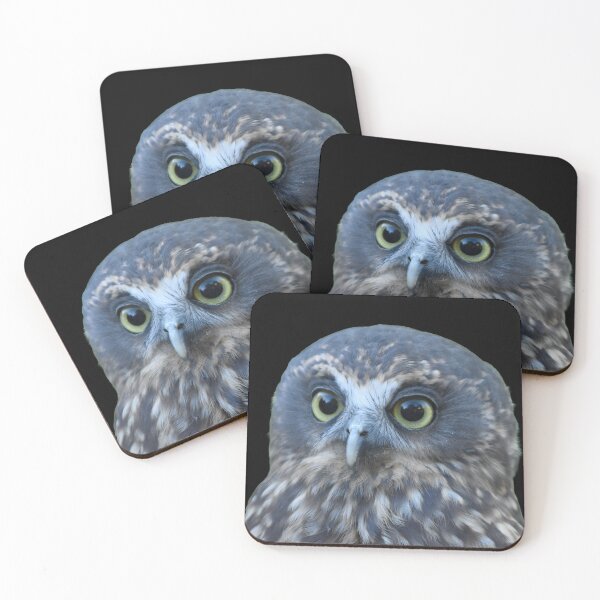 Item preview, Ruru (morepork owl) on black designed and sold by GivernyKate.