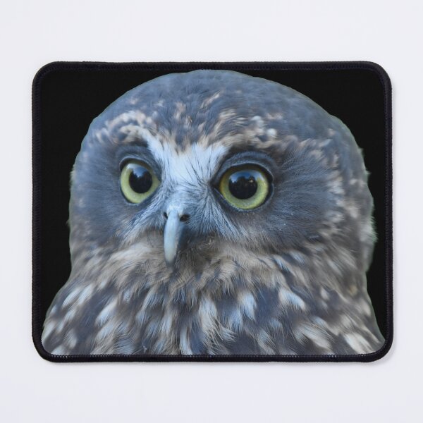 Item preview, Ruru (morepork owl) on black designed and sold by GivernyKate.