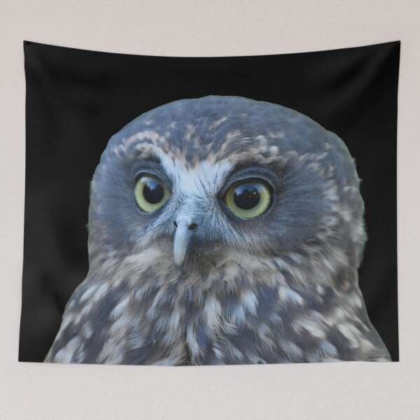 Item preview, Ruru (morepork owl) on black designed and sold by GivernyKate.