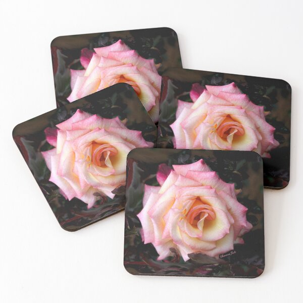 Item preview, Take Me As I Am ~ The Sweetest Rose designed and sold by SummerJade.