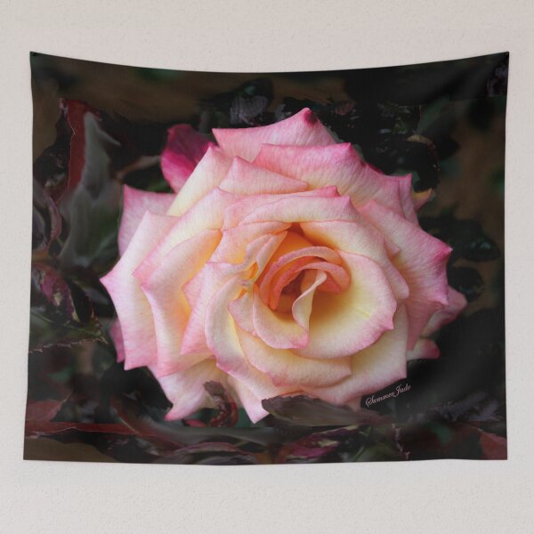 Item preview, Take Me As I Am ~ The Sweetest Rose designed and sold by SummerJade.