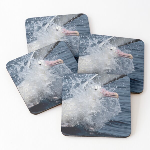 Item preview, Southern Royal Albatross Splash designed and sold by GivernyKate.