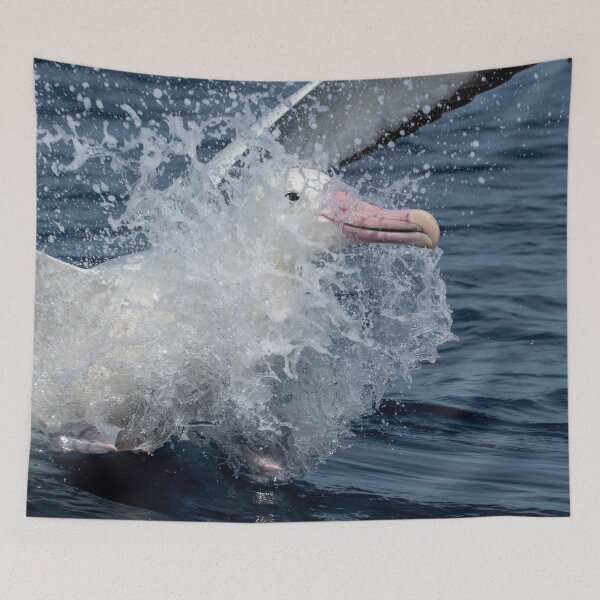 Item preview, Southern Royal Albatross Splash designed and sold by GivernyKate.