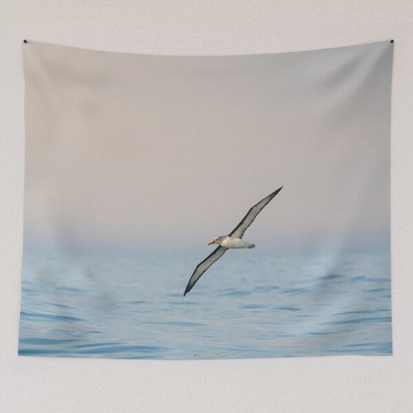 Item preview, Bullers Albatross Sunset designed and sold by GivernyKate.