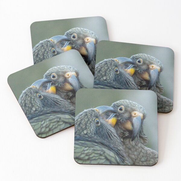 Item preview, Kea kissing designed and sold by GivernyKate.