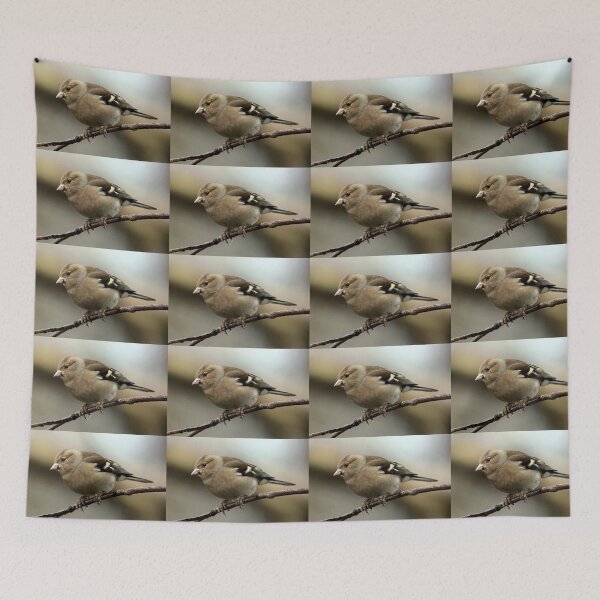 Item preview, chaffinch designed and sold by KathleenDawson.